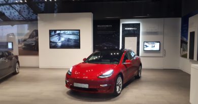 Vi siete chiesti quante saranno le Tesla Model 3 vendute in Italia nel 2019?